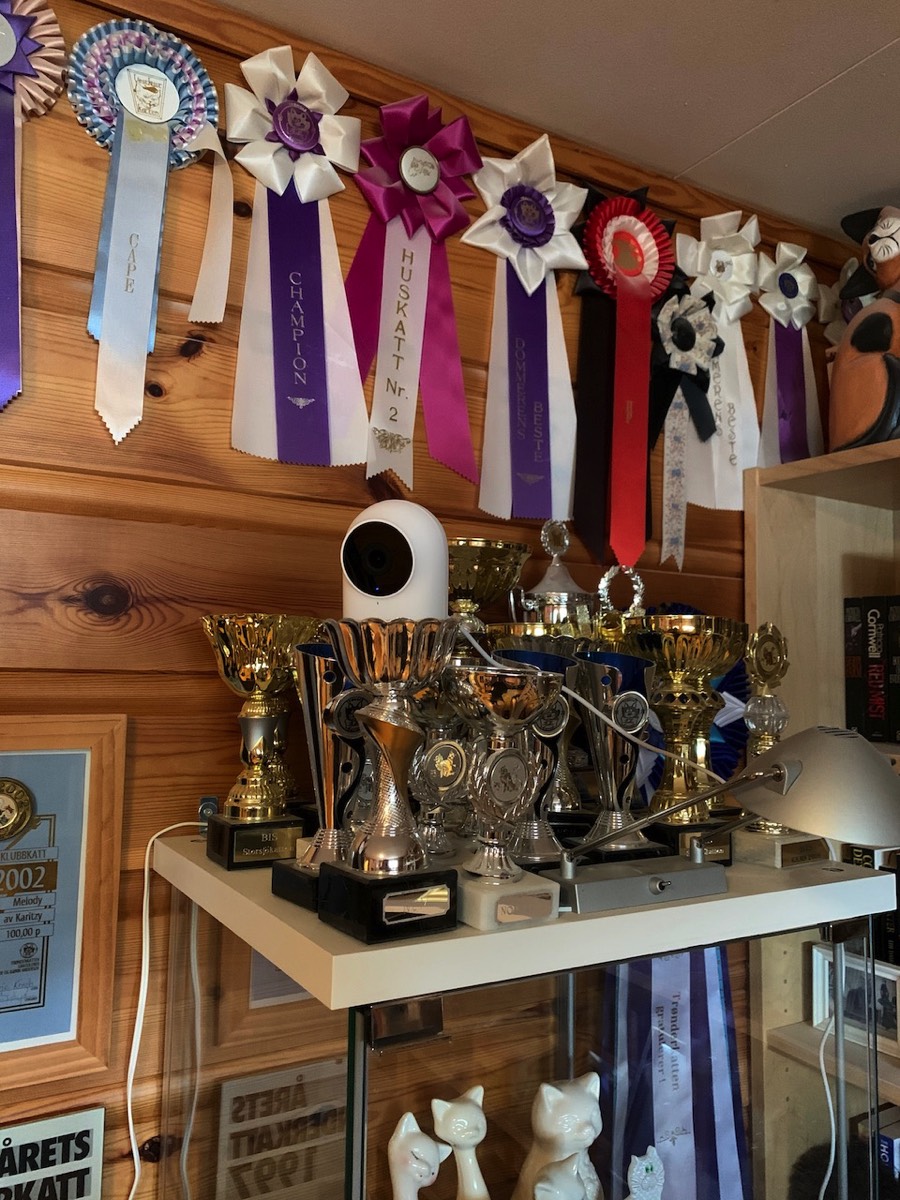 Stacks Image 871