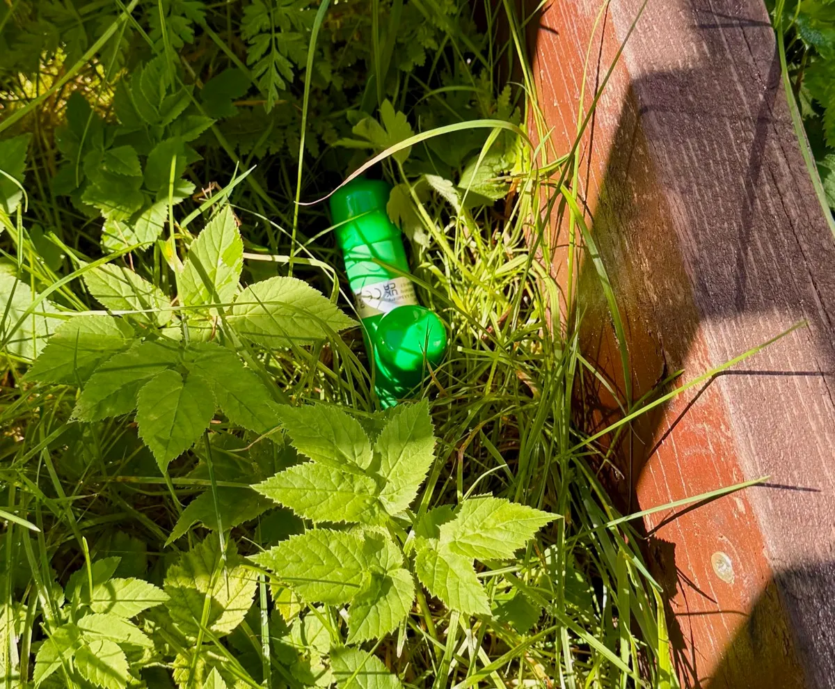 Ecowitt-sensor som måler jordfuktighet, plassert litt utenfor selve plenen, slik ikke klipperen kjører over den