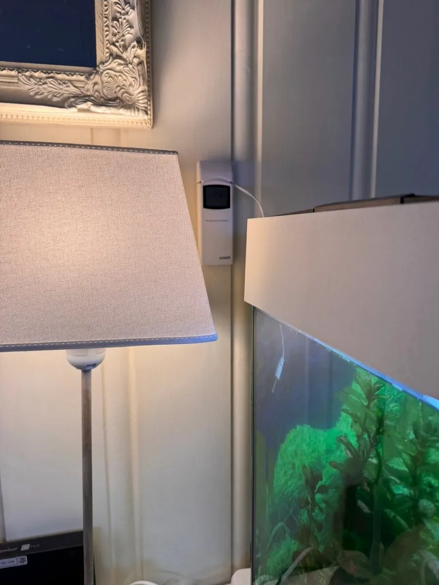 Ecowitt temperatursensor med føleren stukket ned i vannet i akvariet