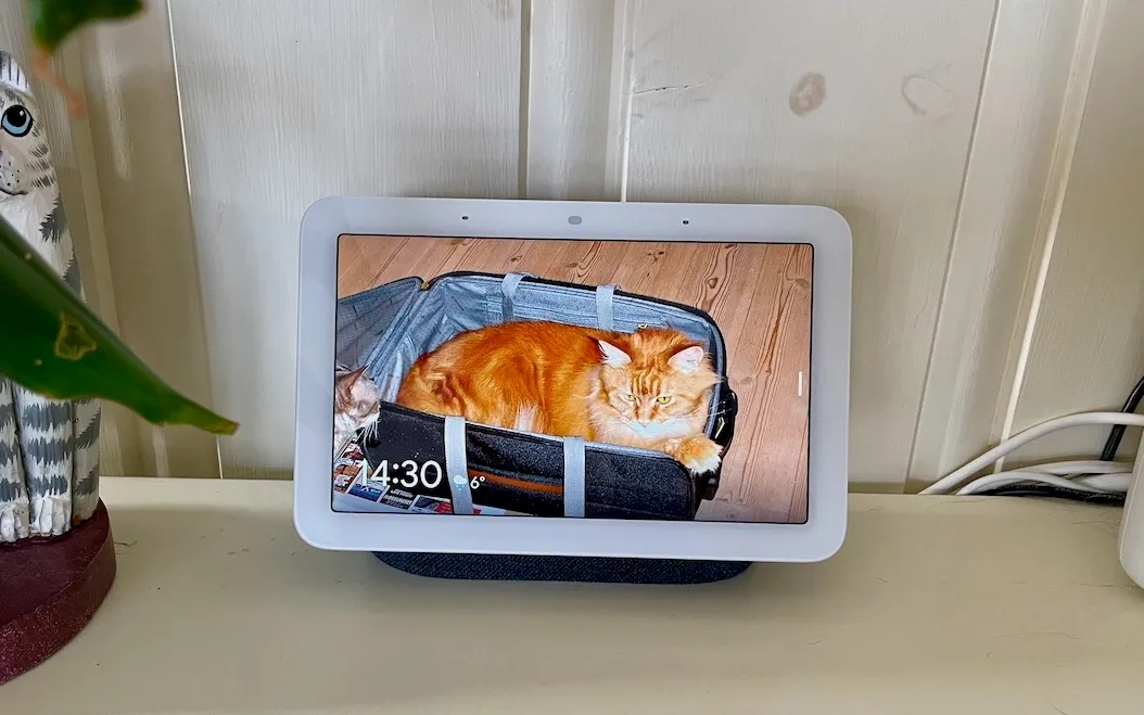 Til venstre, Echo Det, og til høyre, Google Nest Hub