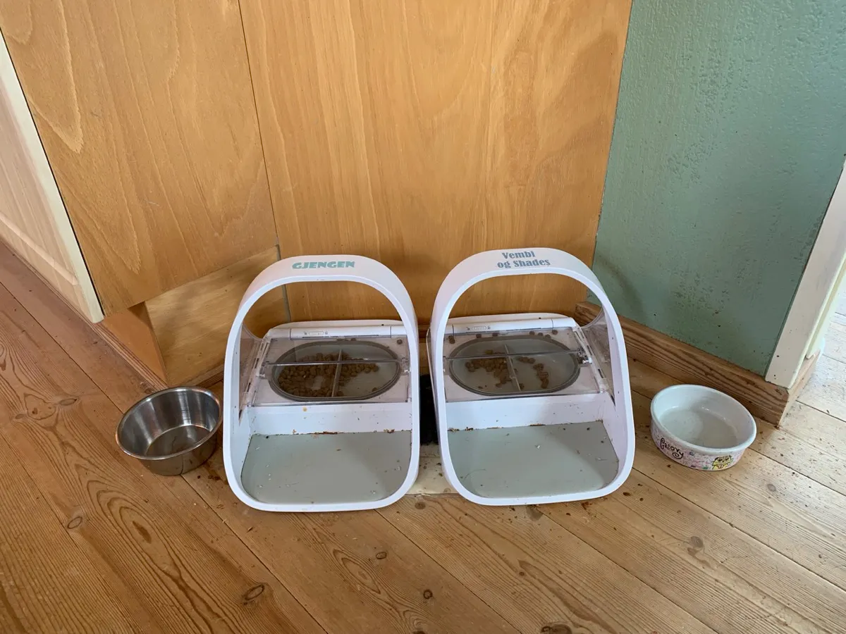 To hvite SureFeed matskåler med navneskilt og tørrfôr, på gulvet ved siden av to vannskåler