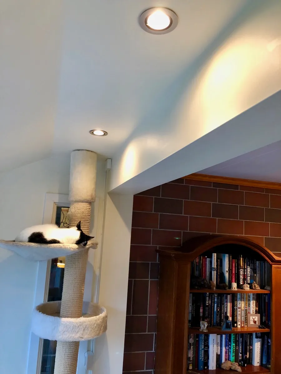 Philips Hue downlights, som primært styres med Home-appen, men som også kan slås på/av og dimmes med veggbryteren