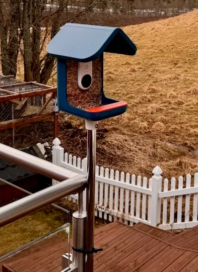 Bird Buddy fuglebrett med blått tak på en stålstolpe ved verandarekkverket