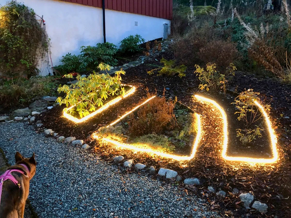Philips Hue utendørs lysstriper rundt blomsterbed